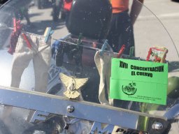 XVII Concentracion - 2010